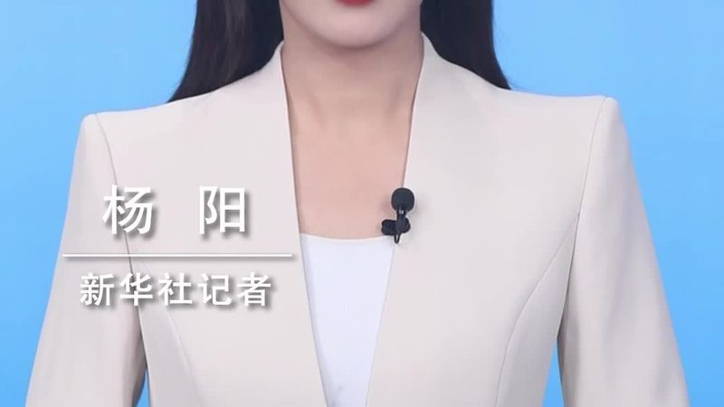 需求与定制：满足特定场景下的精确需求