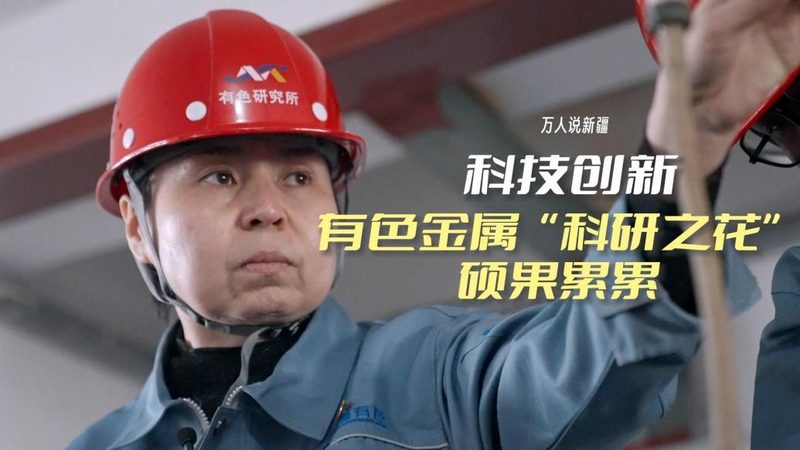 软件测试流程自动化，揭秘高效测试的五大步骤